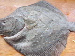 多宝鱼怎么收拾视频,视频教程带你轻松学会