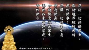 咒语念诵视频,神秘力量解锁之旅